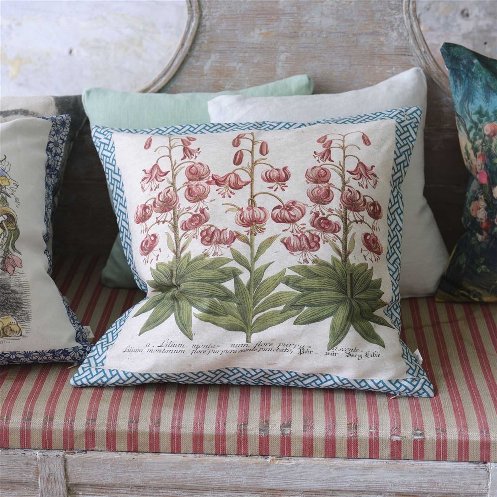 Crown Floral Lily Cushion In Canvas By John Derian